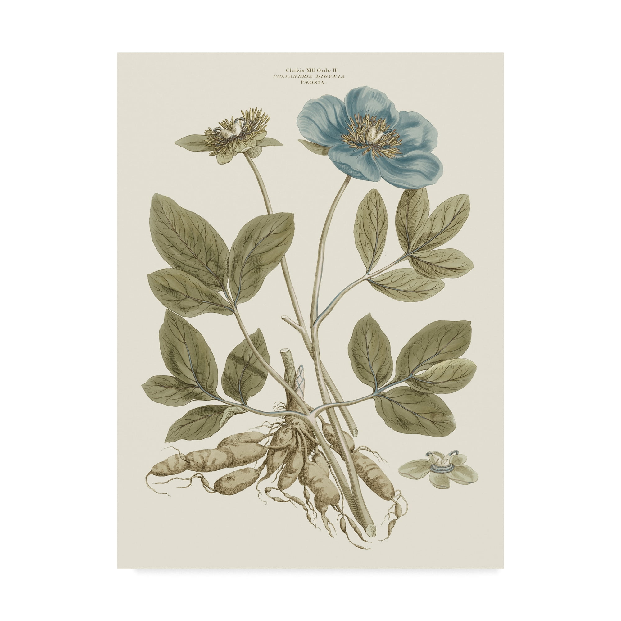 Trademark Fine Art 'Bashful Blue Florals I' Canvas Art by John Miller