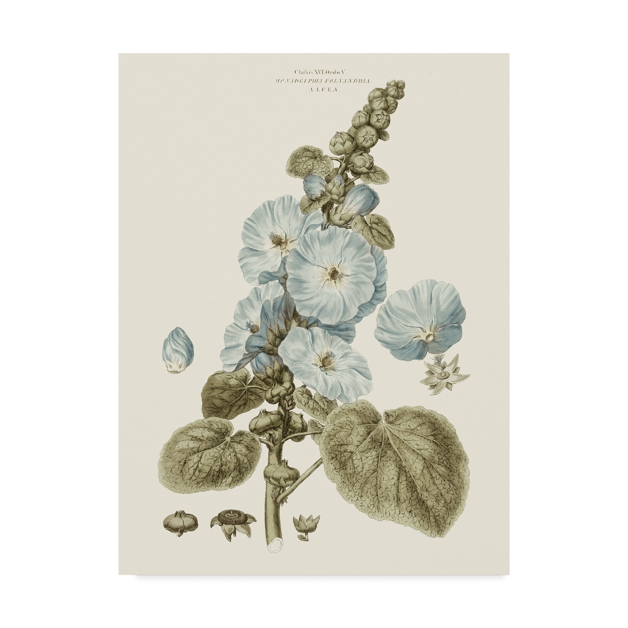 Trademark Fine Art 'Bashful Blue Florals IV' Canvas Art by John Miller