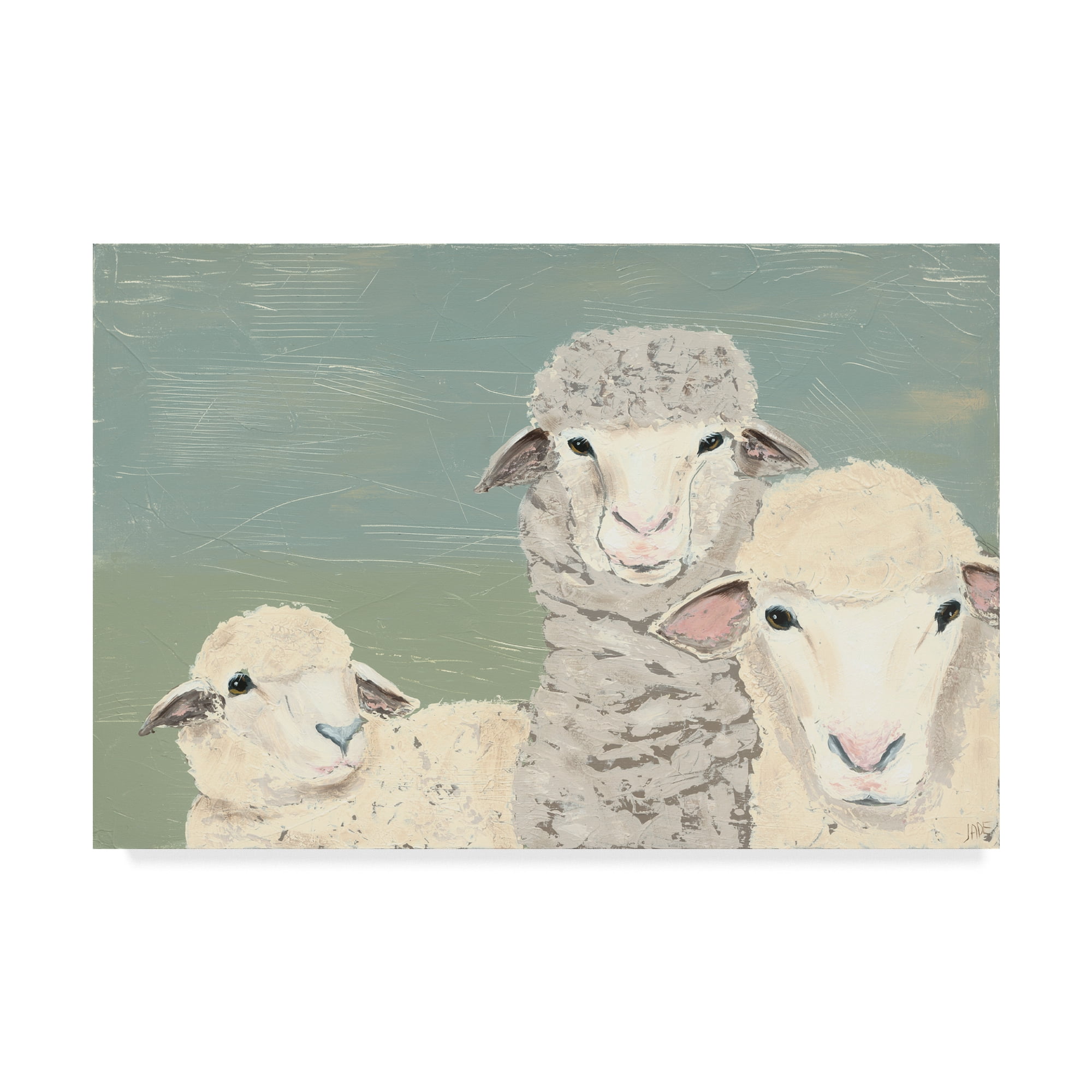 Trademark Fine Art 'Bashful Sheep II' Canvas Art by Jade Reynolds
