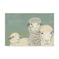 thumbnail image 1 of Trademark Fine Art 'Bashful Sheep II' Canvas Art by Jade Reynolds, 1 of 4