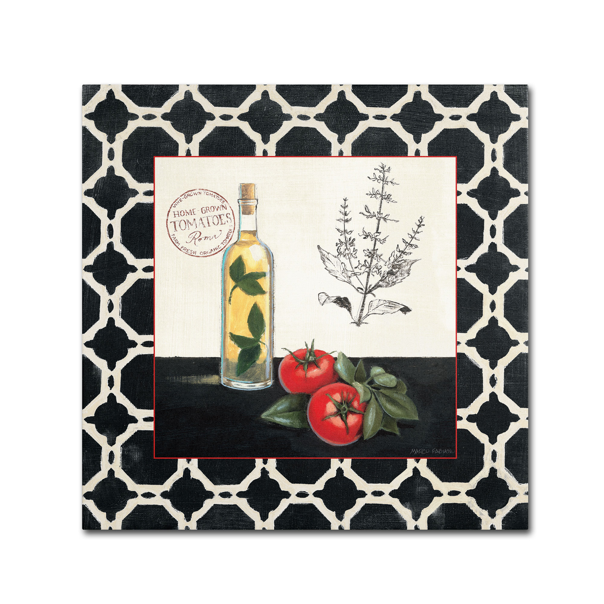 Trademark Fine Art 'Basil and Tomatoes' Canvas Art by Marco Fabiano