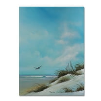 Trademark Fine Art 'Beach 2' Canvas Art by Geno Peoples
