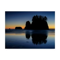 Trademark Fine Art 'Beach Afterglow' Canvas Art by Michael Blanchette Photography