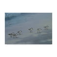 thumbnail image 1 of Trademark Fine Art 'Beach Combers Detail' Canvas Art by Michael Jackson, 1 of 3