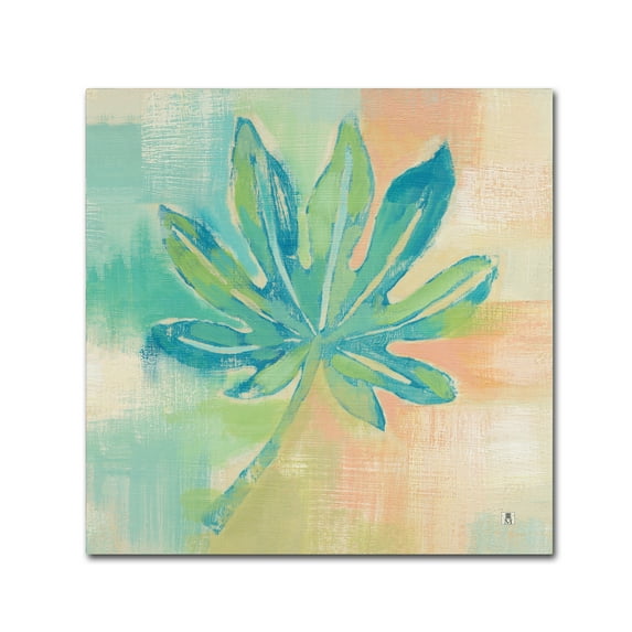 Trademark Fine Art 'Beach Cove Leaves III' Canvas Art by Studio Mousseau