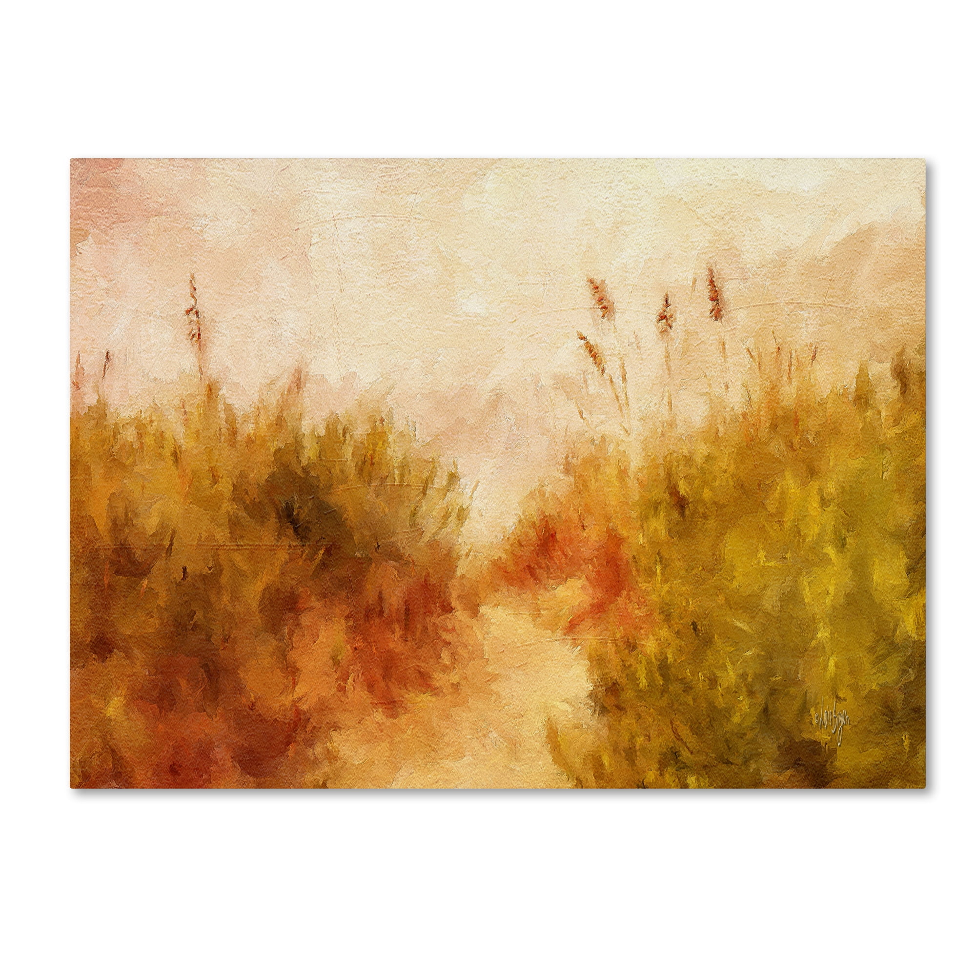 Trademark Fine Art "Beach Grass" Canvas Art by Lois Bryan