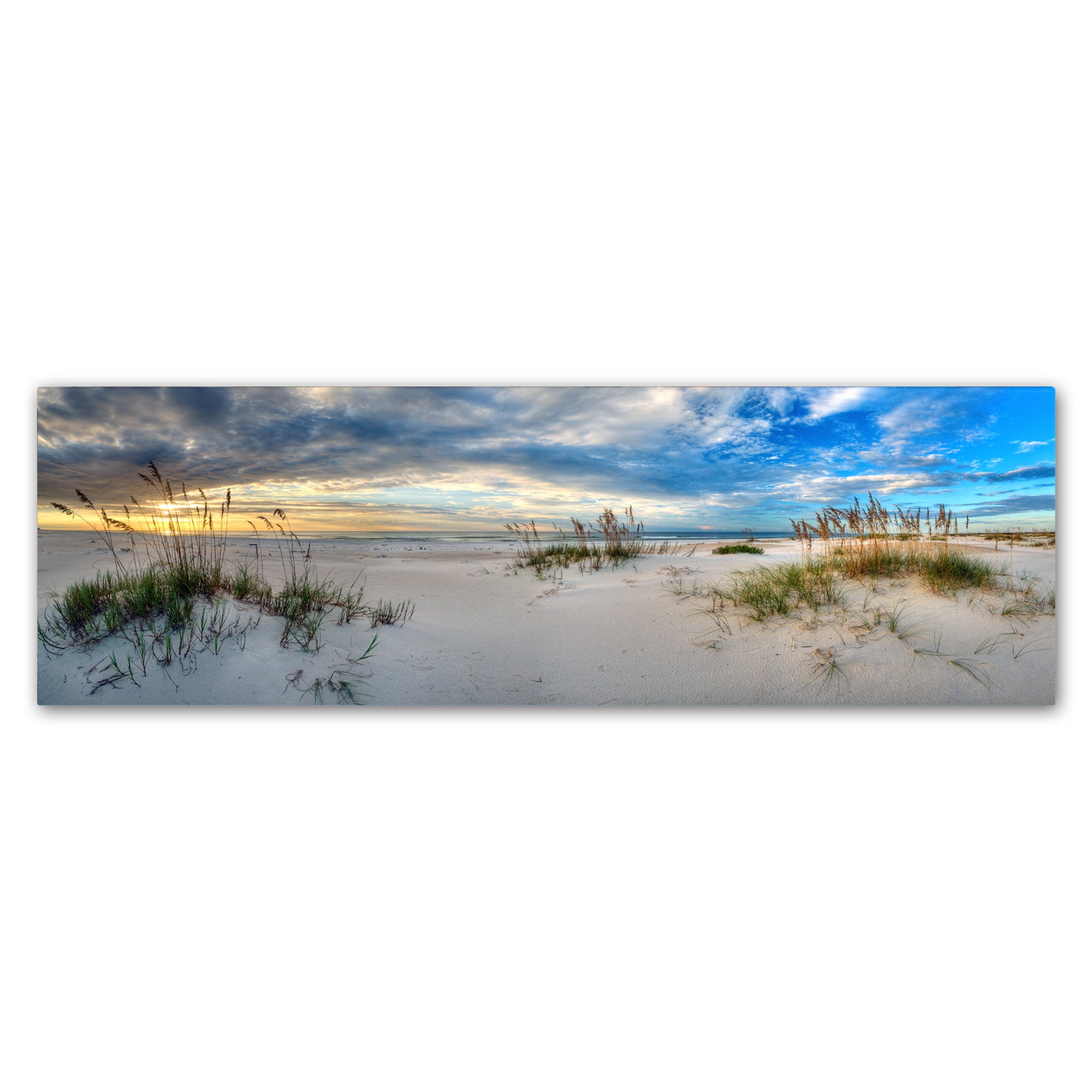 Trademark Fine Art 'Beach Landscape' Canvas Art by Doug Cavanah
