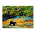 thumbnail image 1 of Trademark Fine Art 'Beach Lunch Black Bear' Canvas Art by Marion Rose, 1 of 3