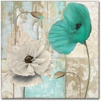 Trademark Fine Art "Beach Poppies III" Canvas Art by Color Bakery