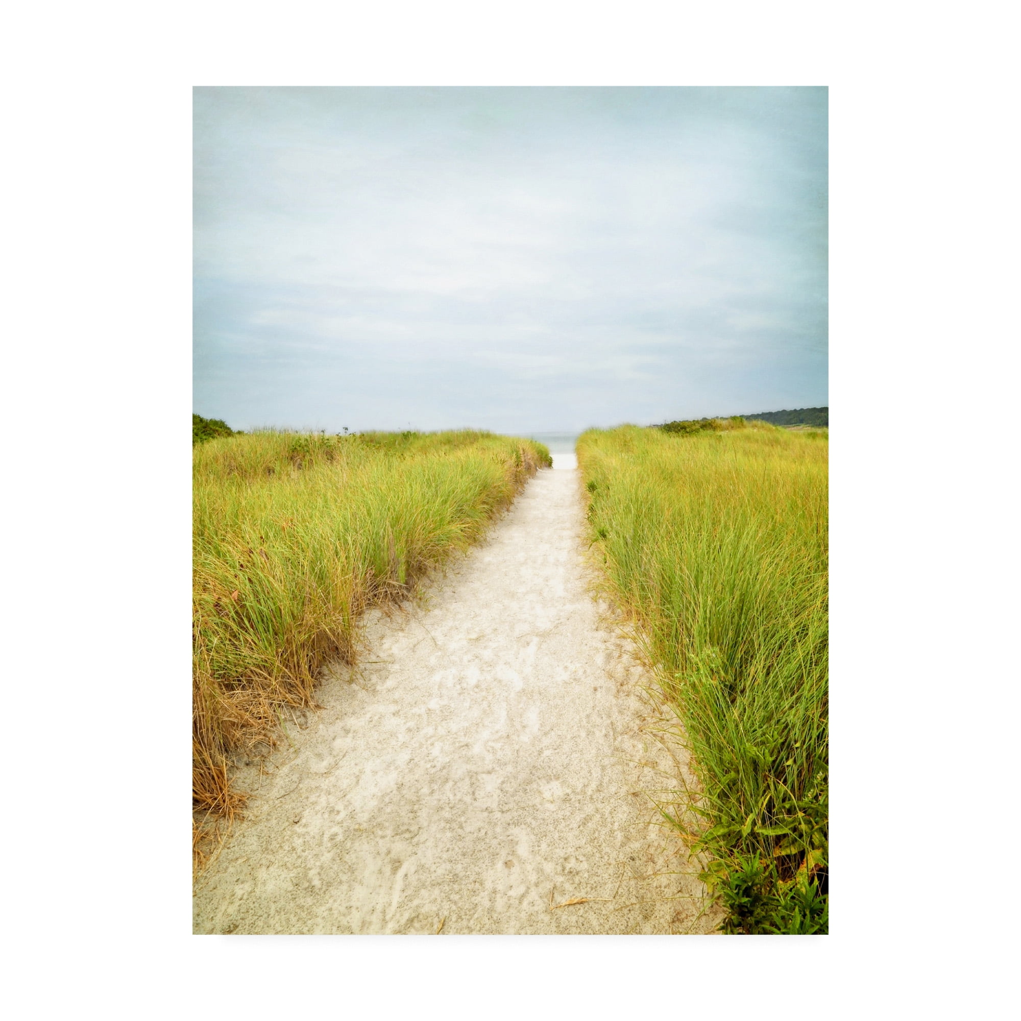 Trademark Fine Art 'Beach Trail' Canvas Art by Brooke T. Ryan