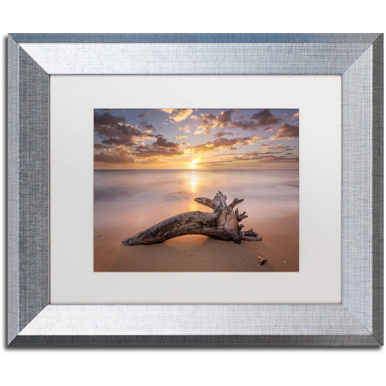 Trademark Fine Art 'Beach Tree Sunrise' Canvas Art by Pierre Leclerc, White Matte, Silver Frame