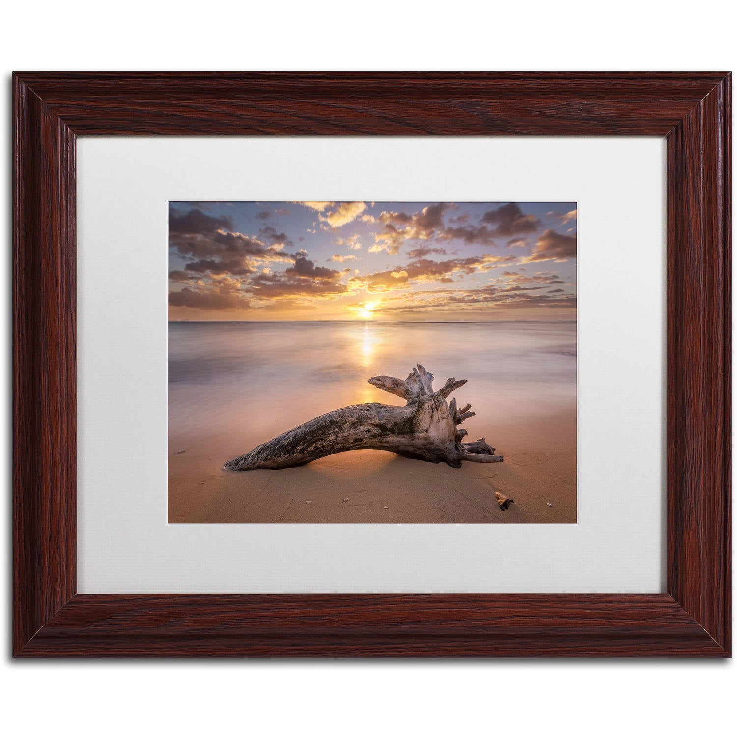 Trademark Fine Art 'Beach Tree Sunrise' Canvas Art by Pierre Leclerc, White Matte, Wood Frame