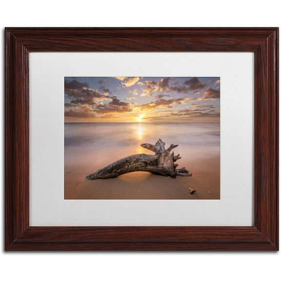 Trademark Fine Art 'Beach Tree Sunrise' Canvas Art by Pierre Leclerc, White Matte, Wood Frame