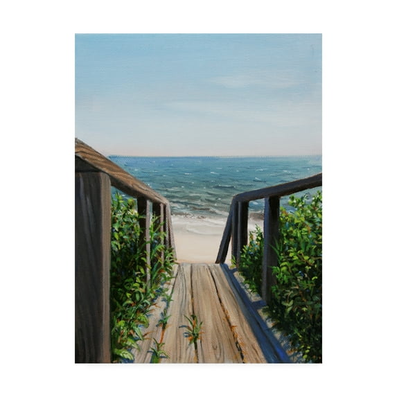 Trademark Fine Art 'Beach Walk Way' Canvas Art by Paul Walsh