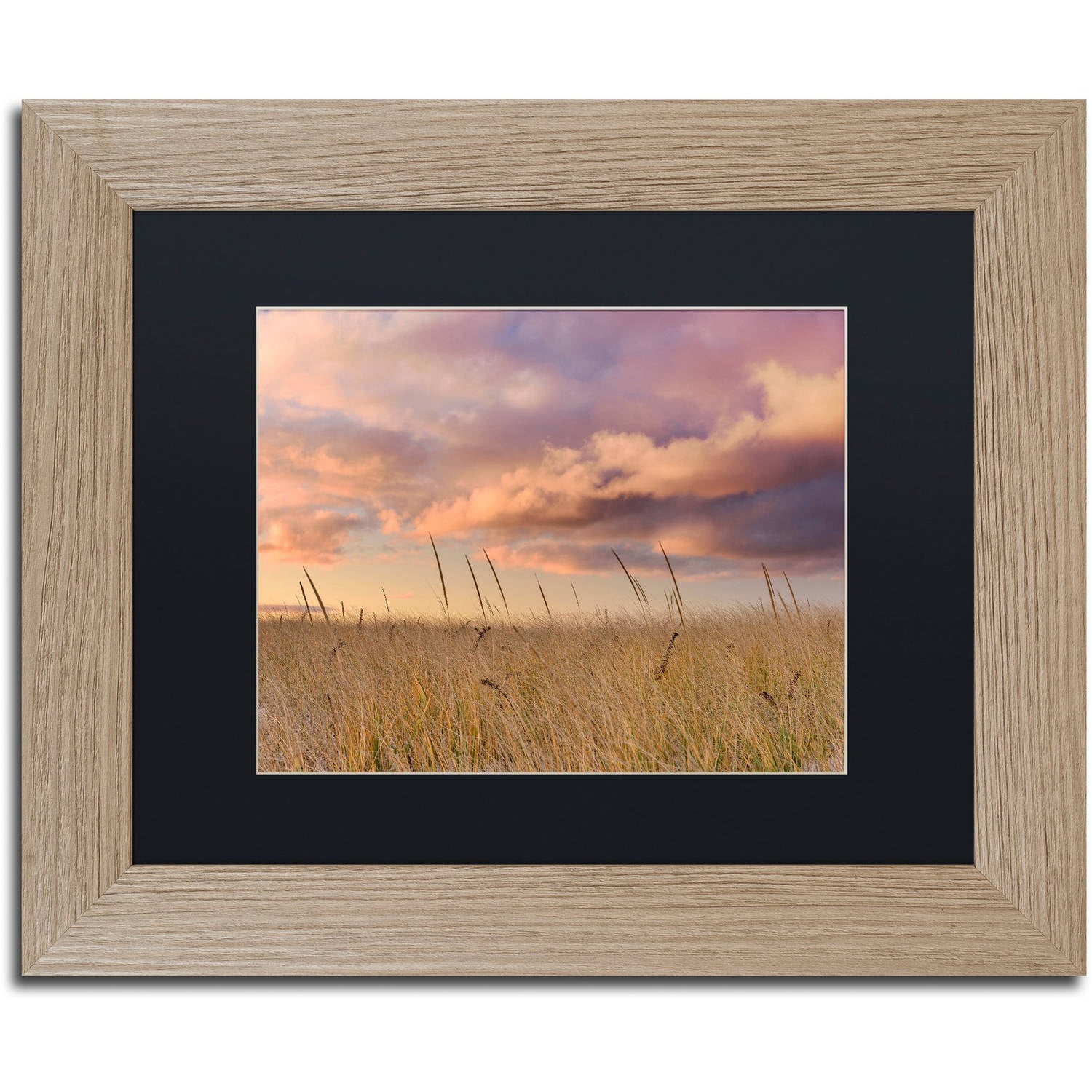 Trademark Fine Art "Beachgrass Sunrise" Canvas Art by Michael Blanchette Photography Black Matte, Birch Frame
