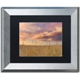 thumbnail image 1 of Trademark Fine Art "Beachgrass Sunrise" Canvas Art by Michael Blanchette Photography Black Matte, Silver Frame, 1 of 4