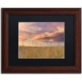 thumbnail image 1 of Trademark Fine Art "Beachgrass Sunrise" Canvas Art by Michael Blanchette Photography Black Matte, Wood Frame, 1 of 3