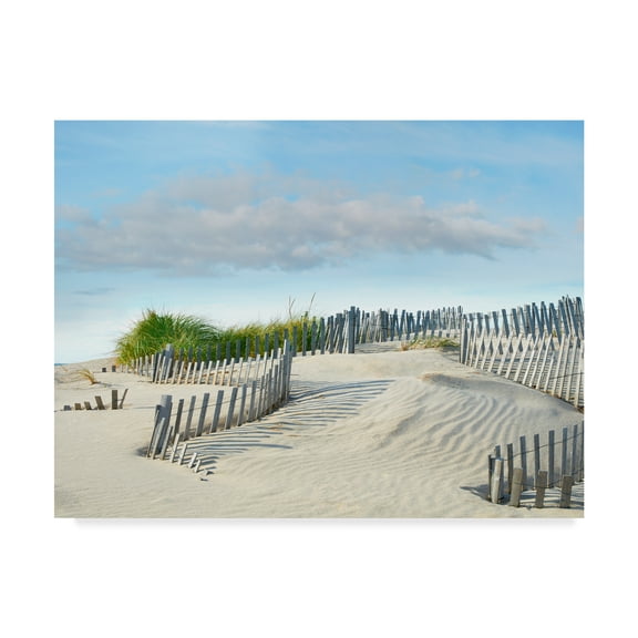 Trademark Fine Art 'Beachscape III' Canvas Art by James McLoughlin