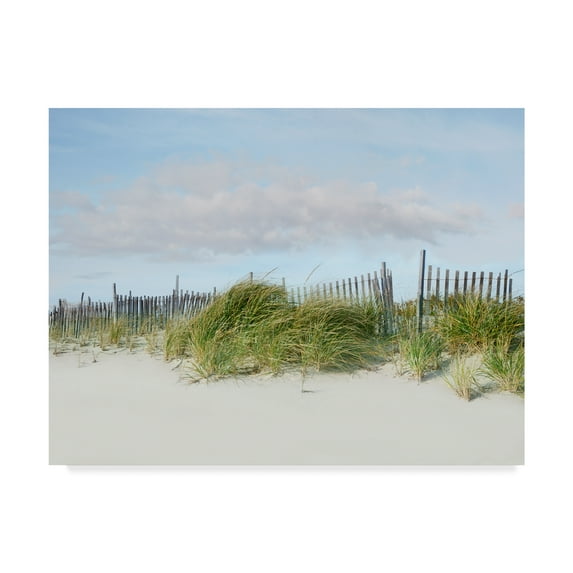 Trademark Fine Art 'Beachscape IV' Canvas Art by James McLoughlin