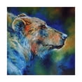 thumbnail image 1 of Trademark Fine Art 'Bear Abstract' Canvas Art by Marcia Baldwin, 1 of 3