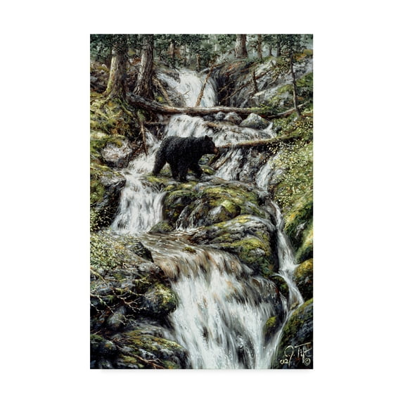 Trademark Fine Art 'Bear Creek Crossing' Canvas Art by Jeff Tift