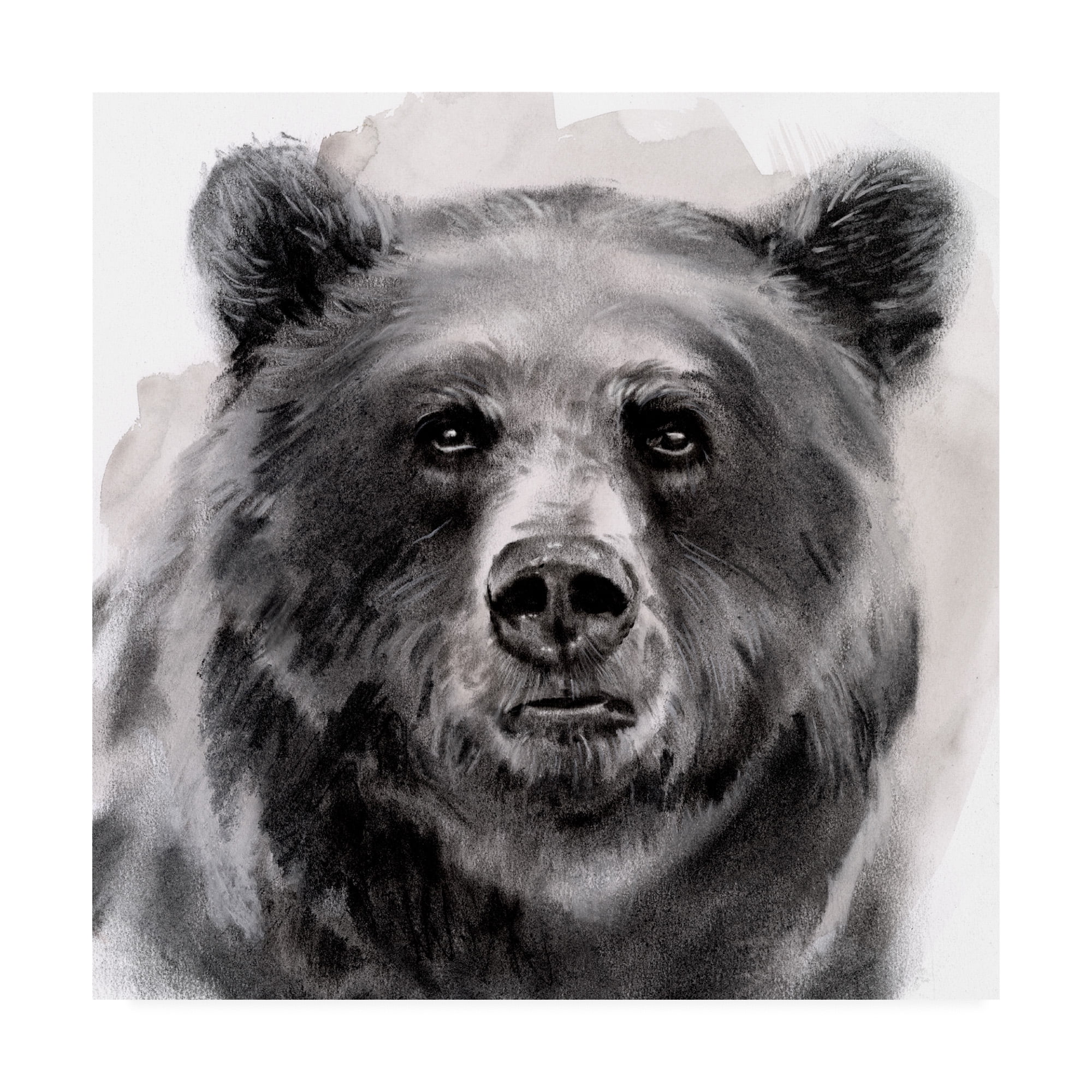 Trademark Fine Art 'Bear Grin II' Canvas Art by Jennifer Paxton Parker