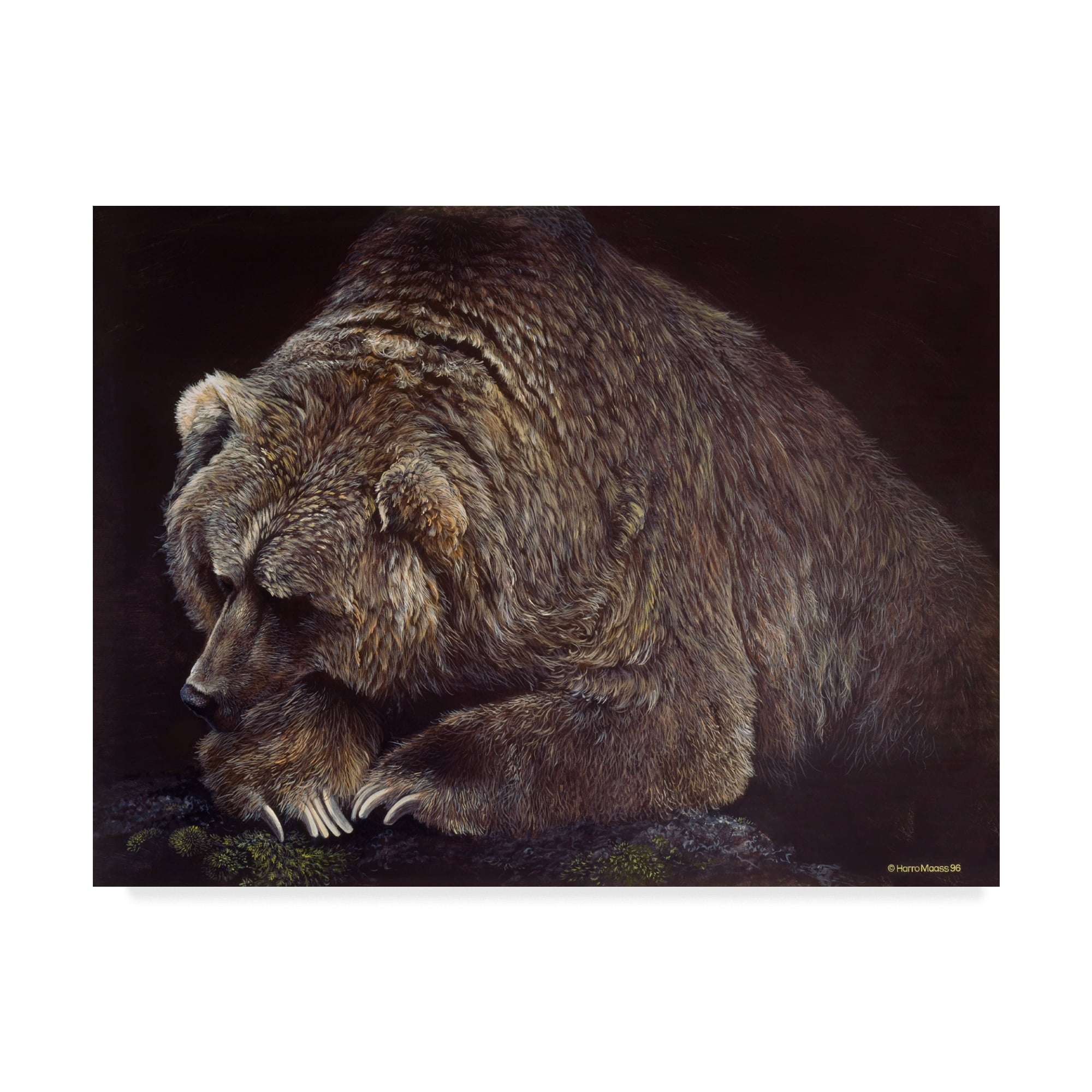 Trademark Fine Art 'Bear In Dark' Canvas Art by Harro Maass