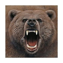 Trademark Fine Art 'Bear Portrait' Canvas Art by Harro Maass