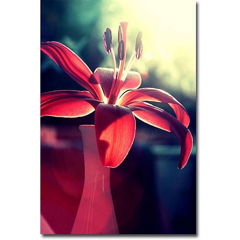 Trademark Fine Art Beata Czyzowska Young 'Lady in Red' Canvas Art 30x47 Inches