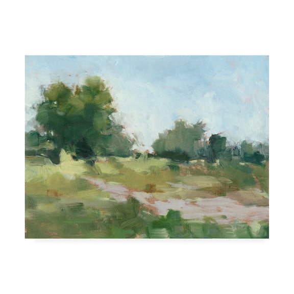 Trademark Fine Art 'Beaten Path I' Canvas Art by Ethan Harper