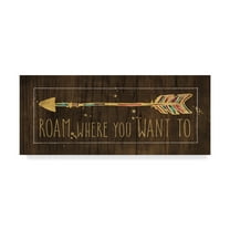 Trademark Fine Art 'Beautiful Arrows IV on Wood' Canvas Art by Pela Studio