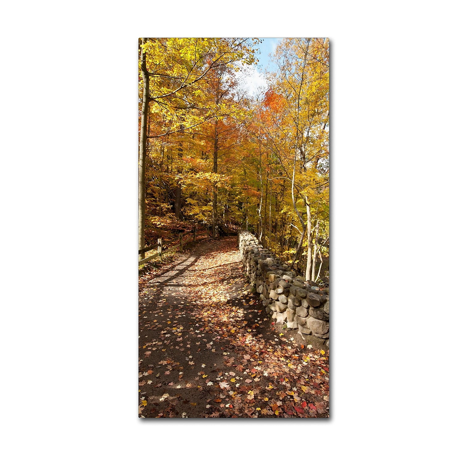 Trademark Fine Art "Beautiful Autumn Hike" Canvas Art by Kurt Shaffer