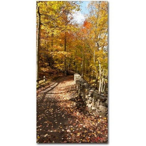 Trademark Fine Art "Beautiful Autumn Hike" Canvas Art by Kurt Shaffer