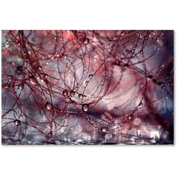 Trademark Fine Art "Beautiful Chaos" Canvas Art by Beata Czyzowska Young