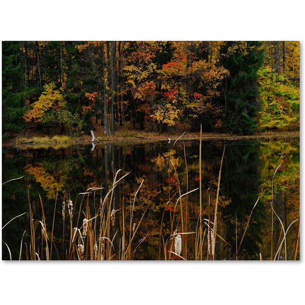 Trademark Fine Art "Beautiful Memory" Canvas Wall Art by Kurt Shaffer