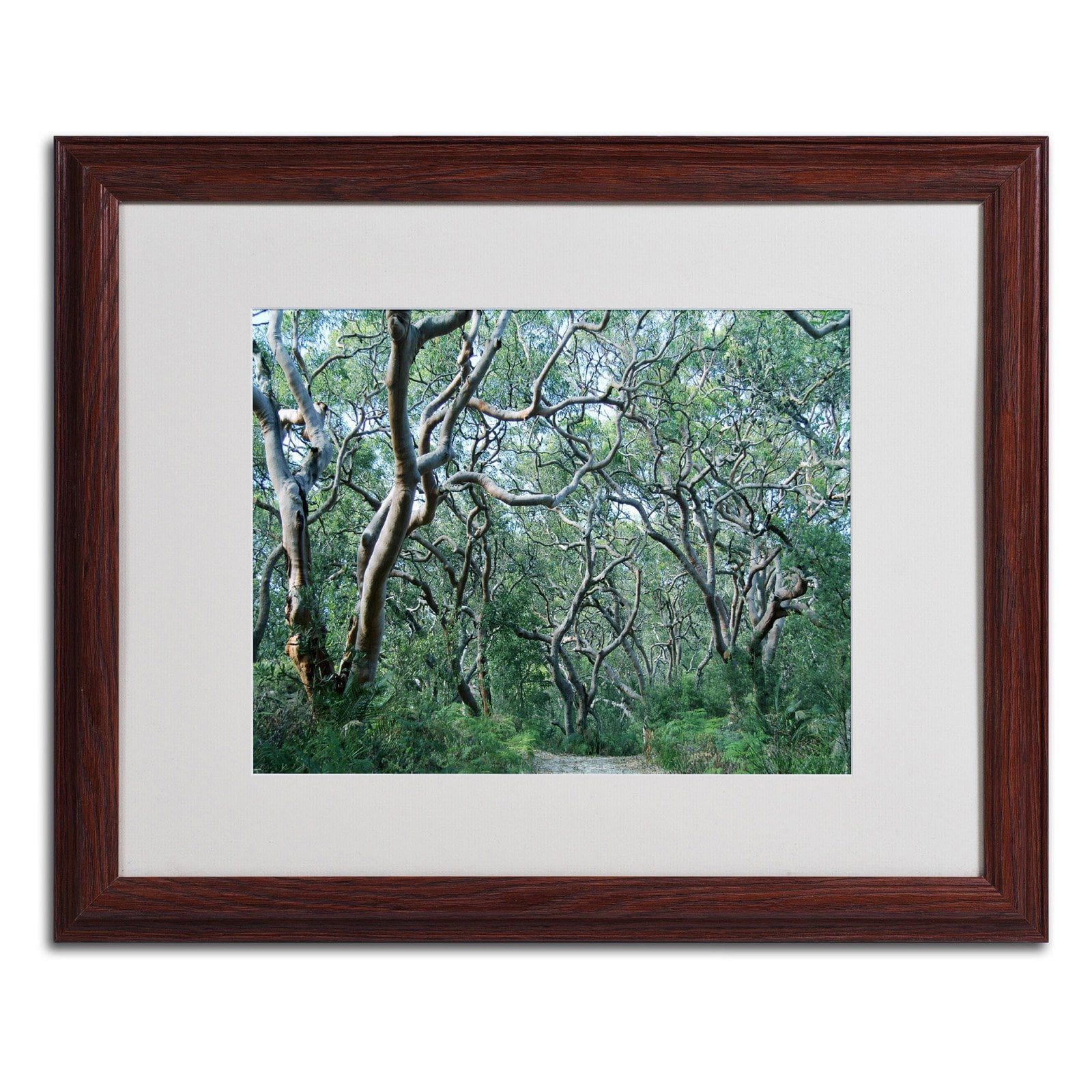 Trademark Fine Art "Beautiful Minds" Framed Canvas Art by Beata Czyzowska Young