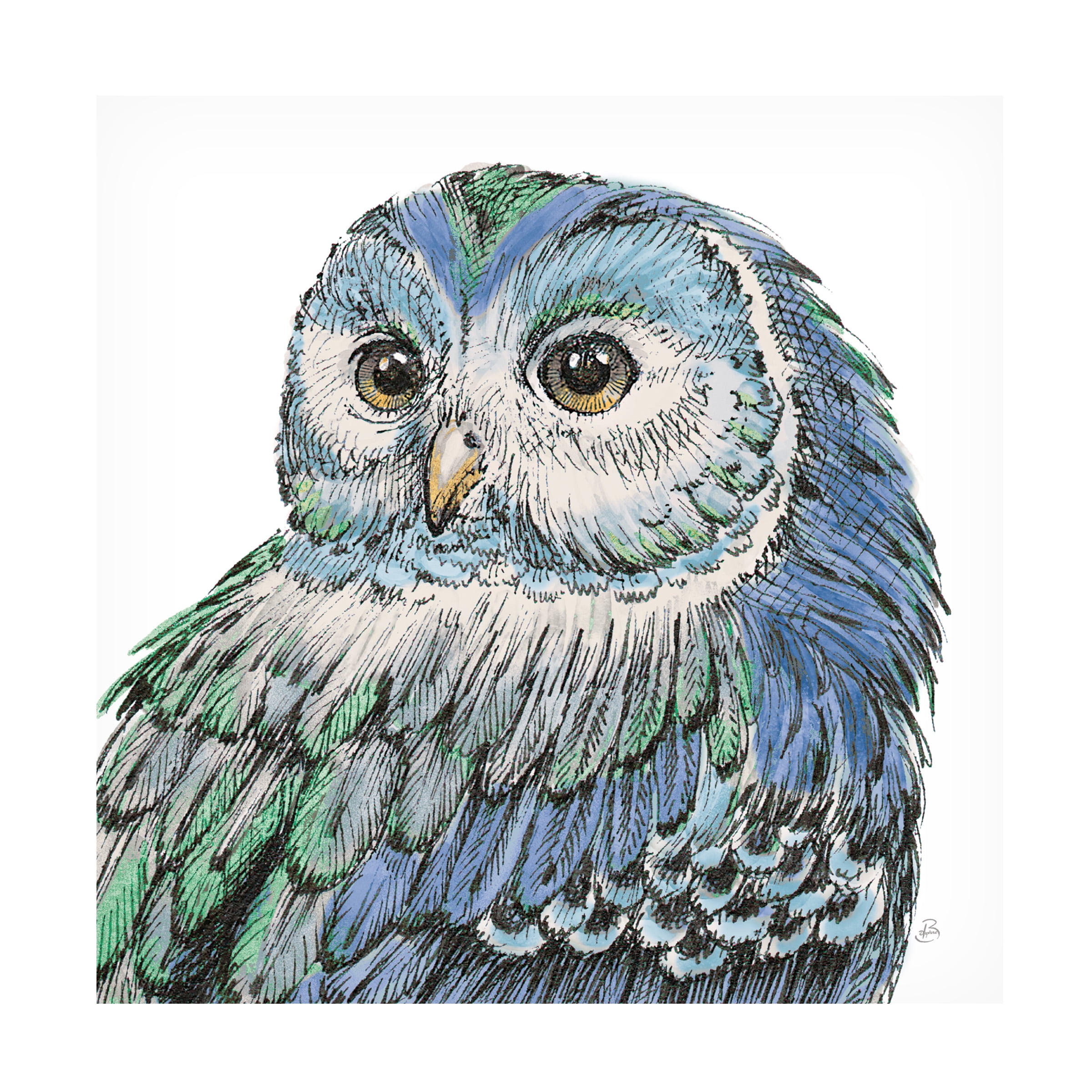 Trademark Fine Art 'Beautiful Owls I Peacock Crop' Canvas Art by Daphne Brissonnet
