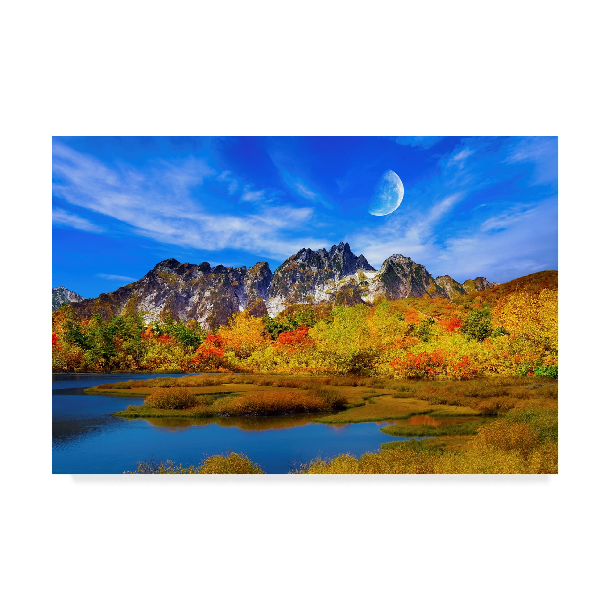 Trademark Fine Art 'Beauty Of Nature' Canvas Art by Ata Alishahi
