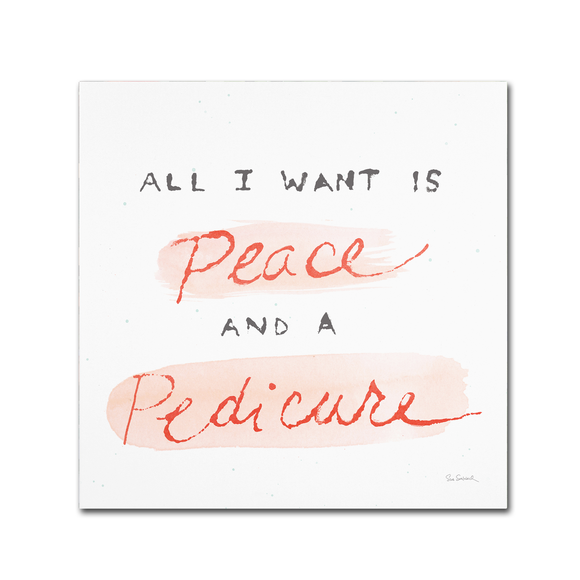 Trademark Fine Art 'Beauty and Sass V' Canvas Art by Sue Schlabach