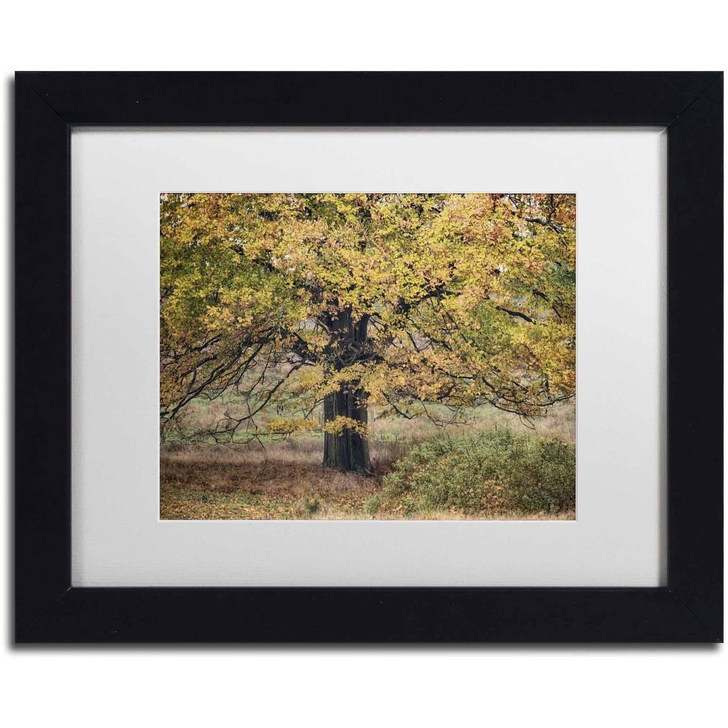 Trademark Fine Art 'Beech Tree' Canvas Art by Cora Niele, White Matte, Black Frame