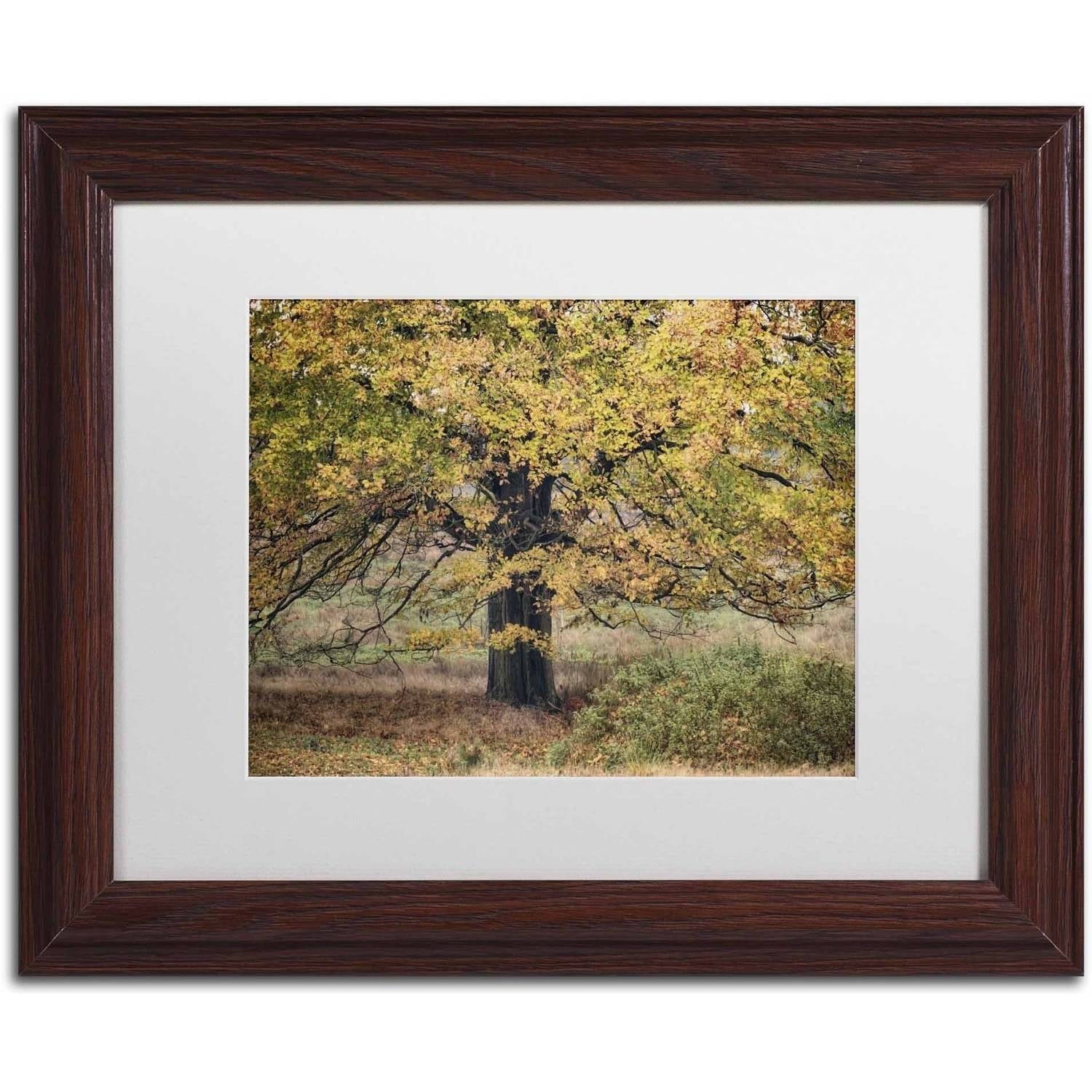 Trademark Fine Art 'Beech Tree' Canvas Art by Cora Niele, White Matte, Wood Frame