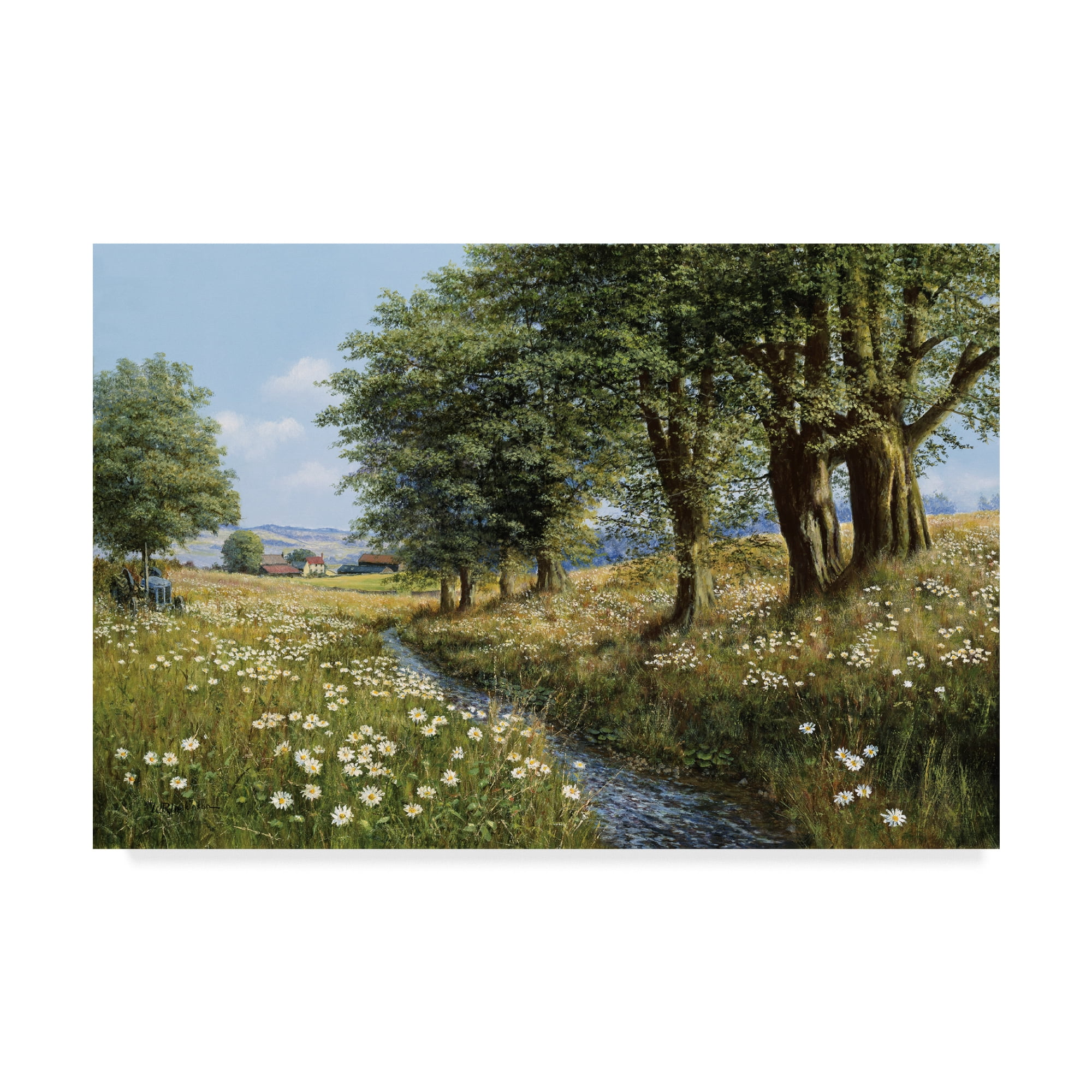 Trademark Fine Art 'Beeches And Daisies' Canvas Art by Bill Makinson
