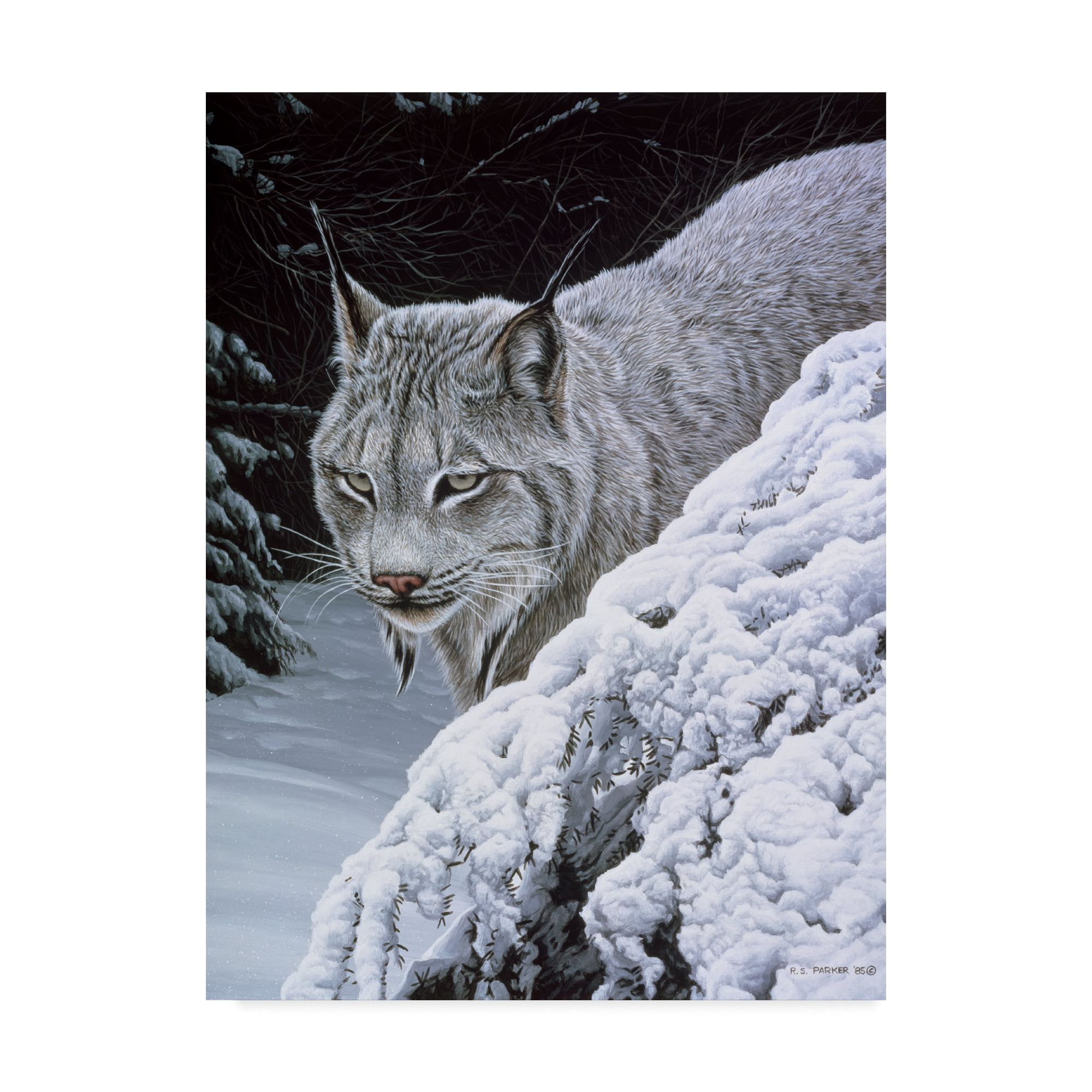Trademark Fine Art 'Behind The Hemlock Lynx' Canvas Art by Ron Parker
