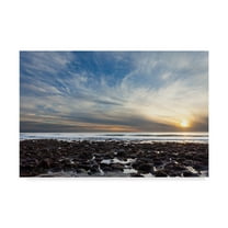 Trademark Fine Art 'Beholding' Canvas Art by Chris Moyer