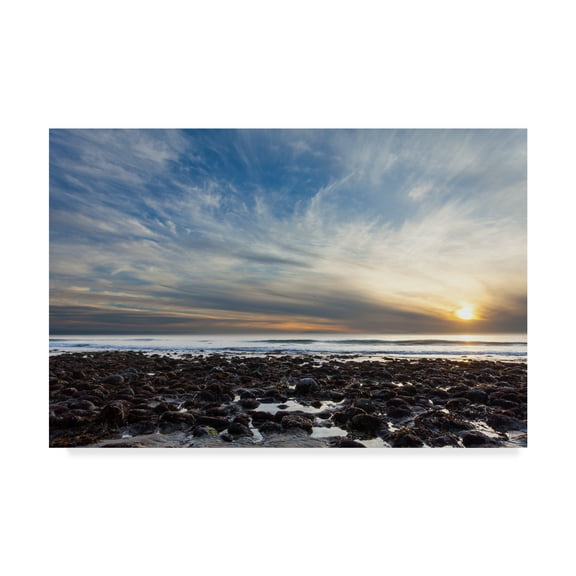 Trademark Fine Art 'Beholding' Canvas Art by Chris Moyer