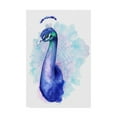 thumbnail image 1 of Trademark Fine Art 'Bejeweled Peacock II' Canvas Art by Grace Popp, 1 of 4