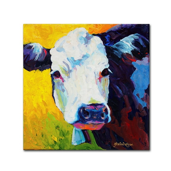 Trademark Fine Art 'Belle' Canvas Art by Marion Rose