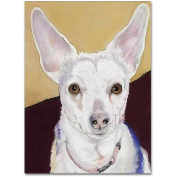 Trademark Fine Art "Belle" Canvas Art by Pat Saunders-White