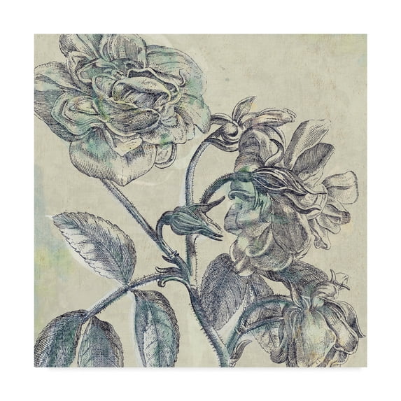 Trademark Fine Art 'Belle Fleur I' Canvas Art by Sue Schlabach