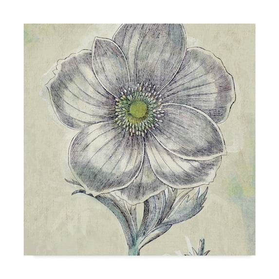 Trademark Fine Art 'Belle Fleur II' Canvas Art by Sue Schlabach